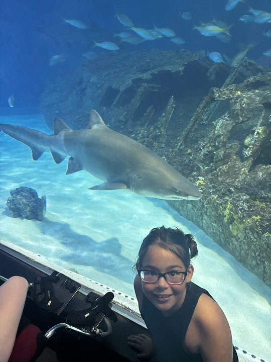 Adventure photo
